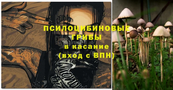 стаф Алексеевка