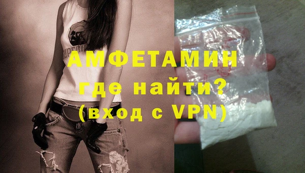 сатива Алзамай