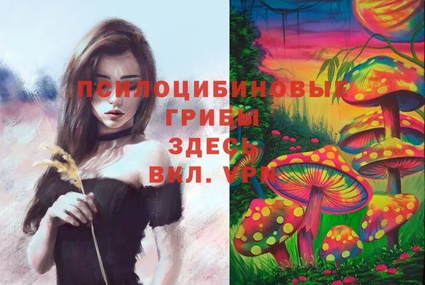 сатива Алзамай
